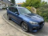 BMW X3 M40 d Individual mit Panoramadach - BMW X3: Panoramadach