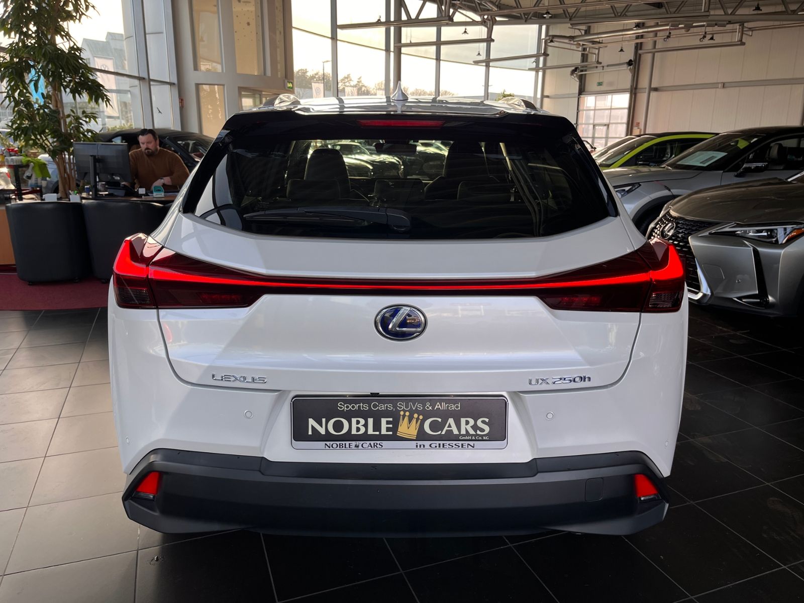 Fahrzeugabbildung Lexus UX 250 h Launch Edition LED NAV SHZ RFK