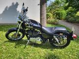 Harley-Davidson Sportster XL 1200 Low - HARLEY-DAVIDSON 2006 SPORTSTER 1200