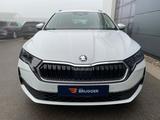 Skoda Octavia 2.0 TDI DSG Selection LED AHK RFK NAVI - Skoda Octavia New cars mit Diesel-Antrieb