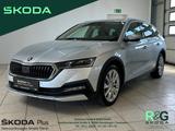 Skoda Octavia Combi Scout 1.5 TSI ACT AHK Panorama Nav - Skoda: Scout Combi