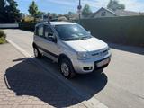 Fiat Panda 1.2 8V Climbing  4X4 - Fiat Panda: Climbing