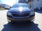 Skoda Rapid 1.4 TDI DSG Active Spaceback Active - Skoda Rapid: Active