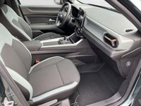 Dacia Bigster - Vorschau Bild 10