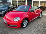 Volkswagen Beetle Cabrio Sport Automatik Xenon Leder 1.Hand