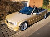 BMW E46 330i Cabrio, Schalter 66 Tkm, TÜV ... - BMW 330: E46 330i
