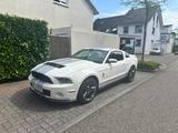 Ford Mustang Shelby GT 500 SVT