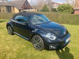 Volkswagen VW Beetle Cabrio TSI 1.2    1.Hand  EZ.201... - VW Beetle Gebrauchtwagen in Hamburg