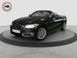 BMW 220iA Cabrio Luxury NAVI LEDER SPORTSITZ 1. HAND