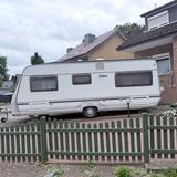 LMC Dominat 560 - LMC 560 d