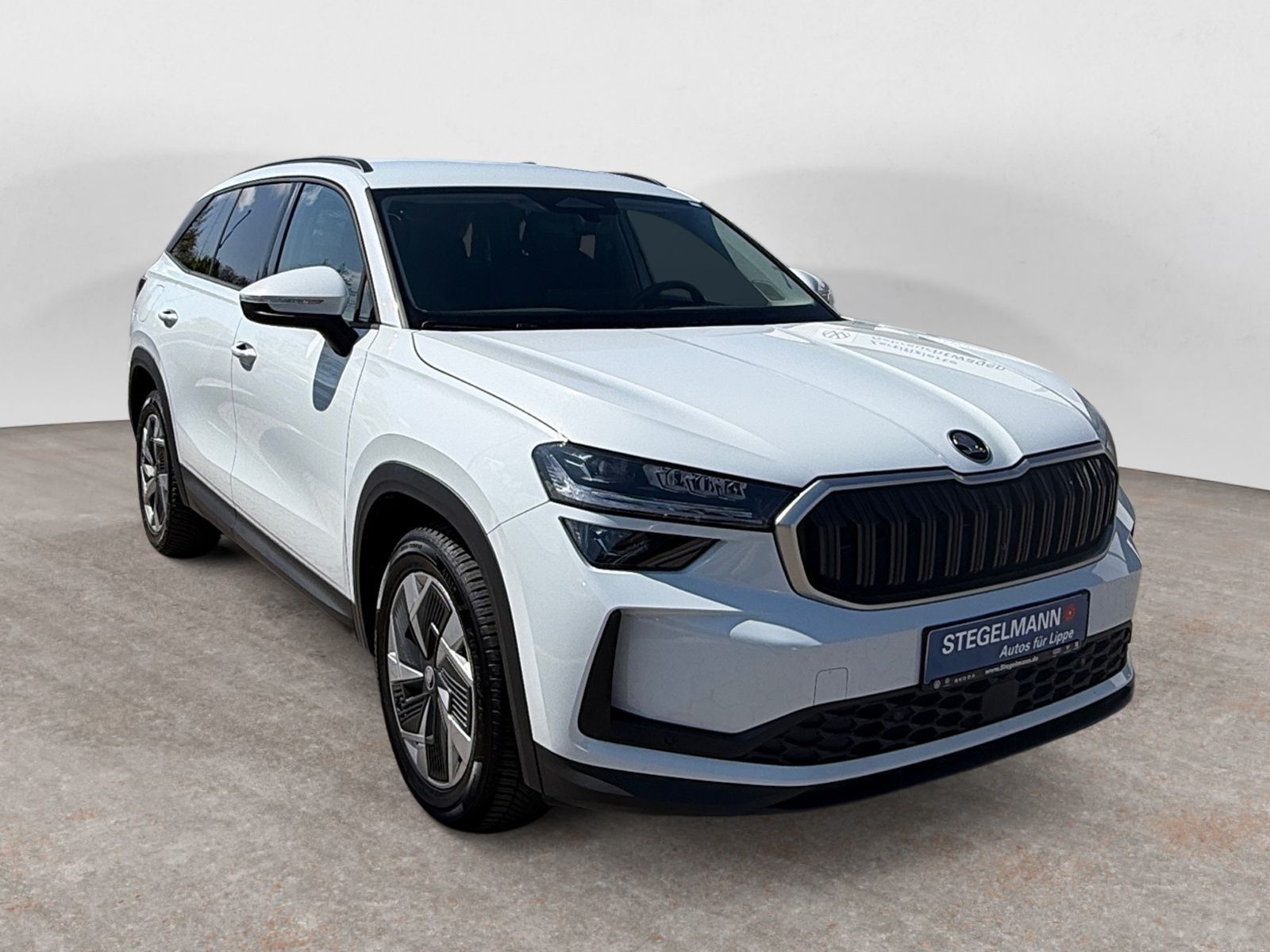 Skoda Kodiaq - Bild 8