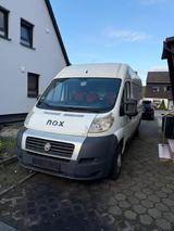 Fiat Ducato 130 Multijet Transporter - Fiat Ducato in Hamm