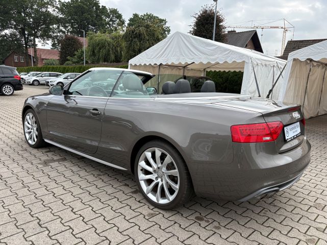 Fahrzeugabbildung Audi A5 2.0 TDI Cabrio S line Leder+Kopfhzg.+Xenon