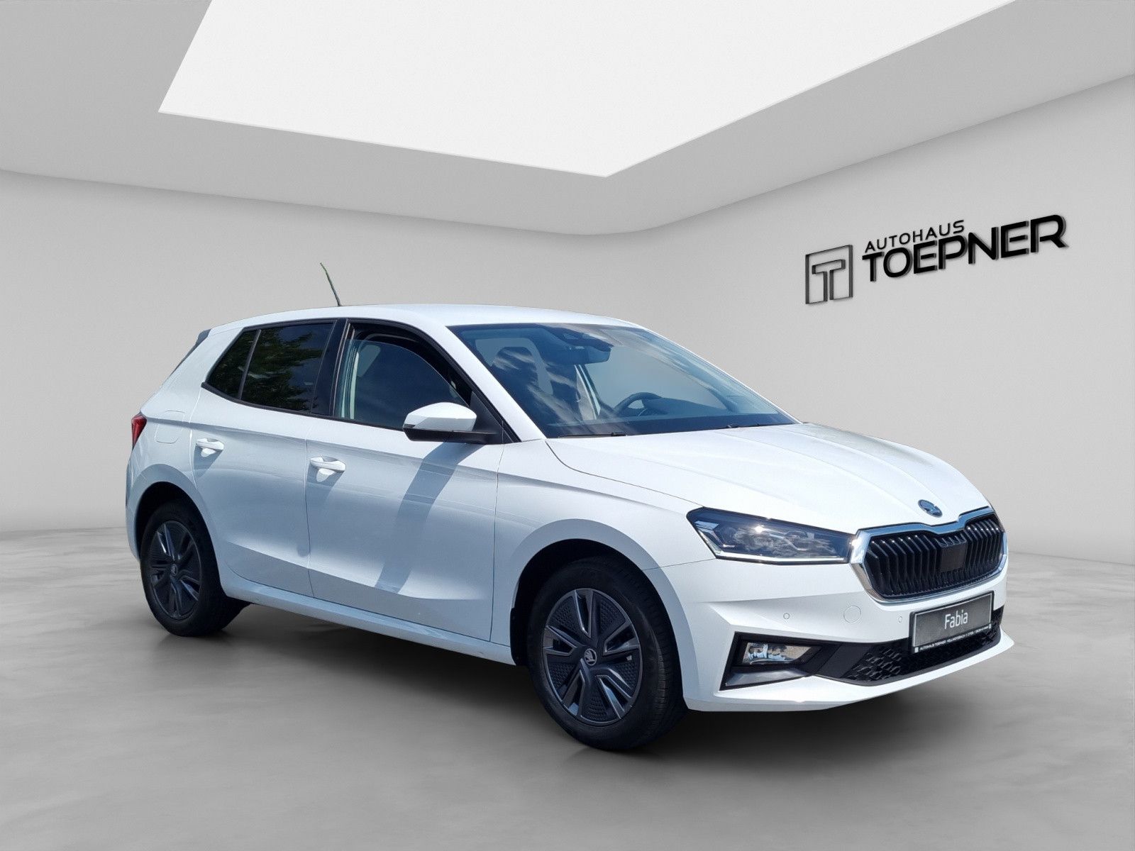 Fahrzeugabbildung SKODA Fabia Balance 1,0 TSI
