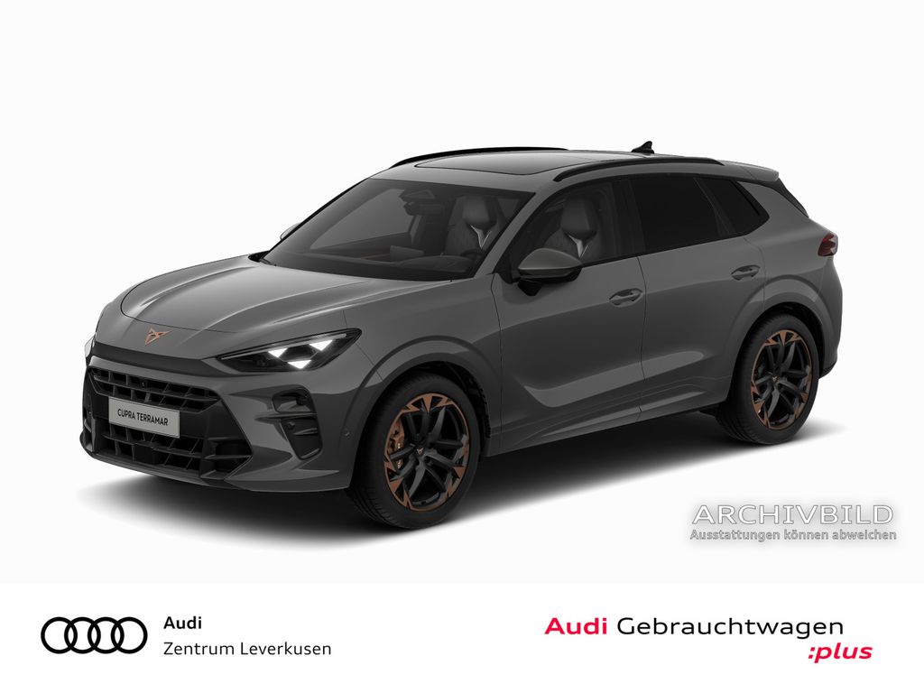 Image of Cupra Terramar