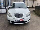 Lancia Ypsilon 1.4 16V Platino - Lancia Ypsilon Platino mit Benzin-Antrieb