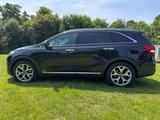 Kia Sorento 2.2 CRDi AWD Platinum Edition Automa... - Kia Sorento in Mönchengladbach