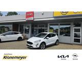 Ford Fiesta 1,0 EcoBoost ACTIVE Sitzheizung Parkpilot