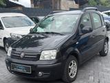 Fiat Panda 1.2 8V Dynamic,Klima,HU - gebrauchte Fiat Panda aus dem Jahr 2011