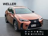 Lexus UX 300h F SPORT Design *LED*SHZ*Kamera*CarPlay* - Lexus Gebrauchtwagen in Bremen