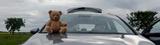 Kia cee'd Sportswagon 1.6 GDI Plug-In Hybrid Spirit  - Kia cee'd Sportswagon von privat