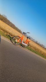 Piaggio Ciao 1.Serie 40Km/h - Offers