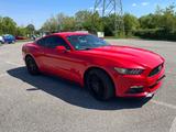 Ford Mustang 2.3 EcoBoost  - Ford Mustang in Nürnberg