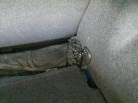 Cupra Ateca - Vorschau Bild 19