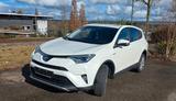 Toyota RAV 4 2,5-l-Hybrid Executive Auto 4x4 Executive - Toyota RAV 4 mit Schiebedach