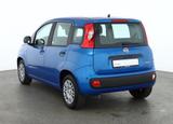 Fiat New Panda Pandina 1.0 mHEV App Connect PDC klima - Fiat New Panda in Hamburg