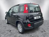 Fiat Panda Hybrid - gebrauchte Fiat Panda aus dem Jahr 2023
