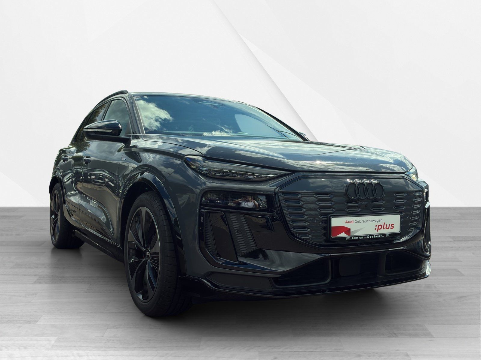 Fahrzeugabbildung Audi Q6 e-tron performance TechPro 360,AHK,HUD,Kamera