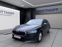 Skoda Superb - Vorschau Bild 2