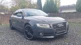 Audi A5 Sportback 2.0 TFSI quattro - Audi A5 aus 2010: Sportback