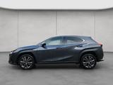 Lexus UX 250h F-Sport Design - Lexus UX: F Sport Design