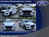 Ford 713 Kuga 2.5 PHEV Hybrid Automatik ST-Line X - Ford Kuga: 7