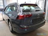 Volkswagen Golf Variant Life 1.5 eTSI DSG/LED/Sitzhzg./Navi - Volkswagen Golf: Golf1