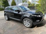 Land Rover Range Rover Evoque 2.2 TD4 Pure  - Land Rover Range Rover Evoque: Td4