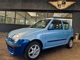 Fiat Seicento 1.1 8V BRUSH Faltdach/Bi-Colour-Blue/LM - Fiat Seicento: Kleinwagen