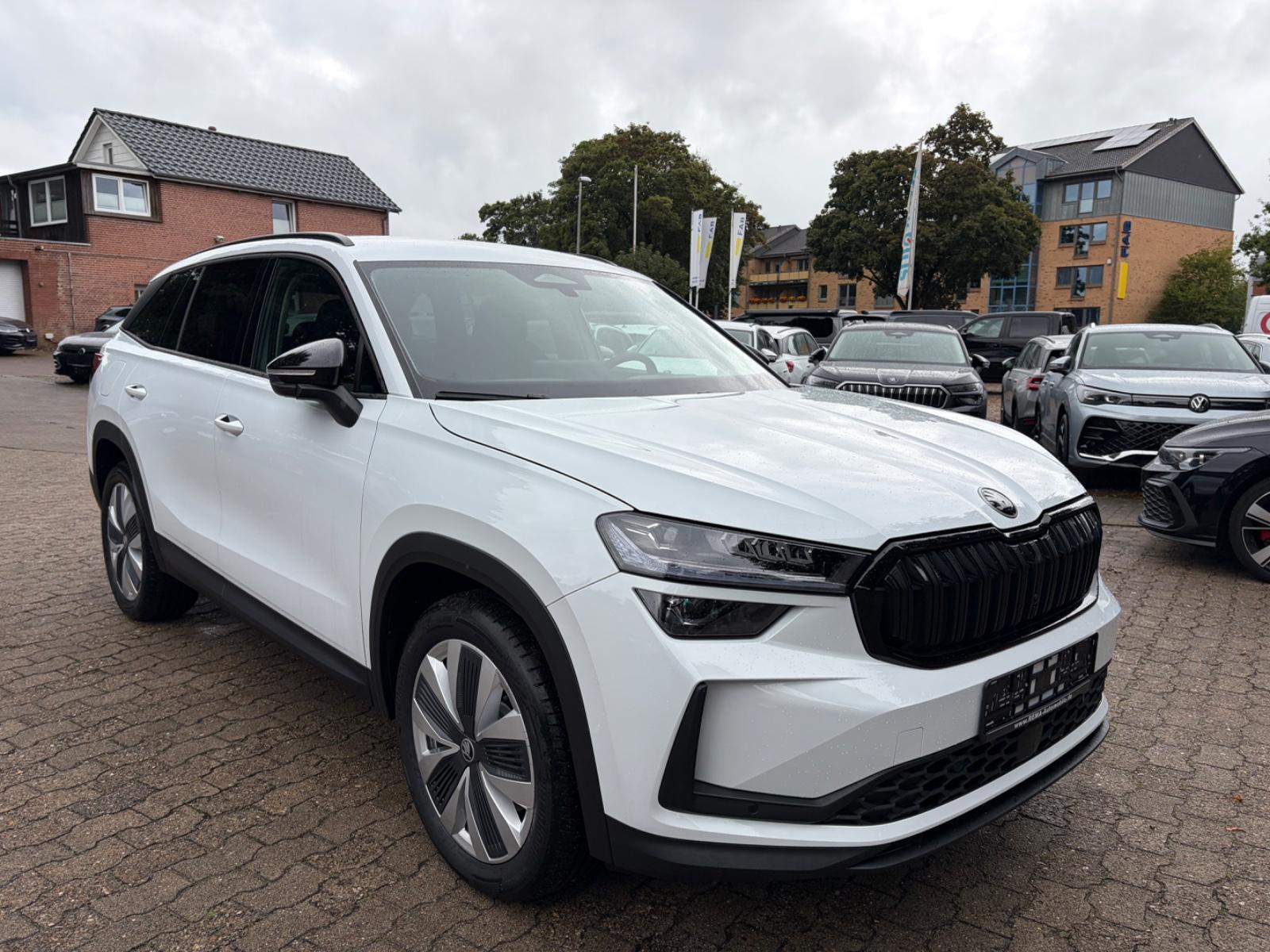 Skoda Kodiaq 1.5 TSI mHEV Selection ACC AHK Matrix
