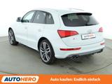 Audi SQ5 3.0 V6 TDI quattro Competition Aut.*NAVI*CAM - gebrauchte Audi SQ5 aus dem Jahr 2017