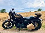 Harley-Davidson Eine Beauty: Sportster Iron XL 1200 NS - HARLEY-DAVIDSON XL 1200 N