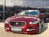 Jaguar XE R-Sport PANO/MERIDIAN/CAM/SHZ - rote Jaguar XE