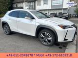 Lexus UX 300e *EXECUTIVE*LEDER*BELÜFTETE SITZE*4xSH* - Lexus Elektroautos