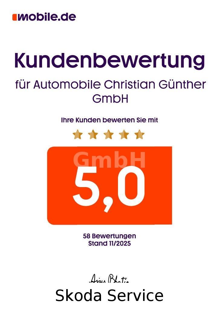 Volkswagen Caddy Maxi 1.5TSI 85KW DSG 7-SITZE LED AHK