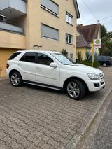 Mercedes-Benz ML500.   5,5 L - Mercedes-Benz ML 500 von privat