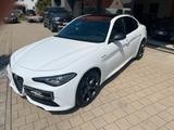 Alfa Romeo Giulia 2,0 Turbo16V Veloce Q4*Pano*LED*Leder* - Alfa Romeo Gebrauchtwagen in Nürnberg