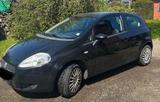 Fiat Punto 1.4 | EZ 2009 | 77 PS | TÜV neu... - Fiat: 77