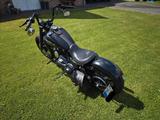Harley-Davidson Street Bob - HARLEY-DAVIDSON 2009 STREET BOB