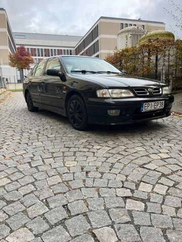 Nissan Primera GT Motosport800fest